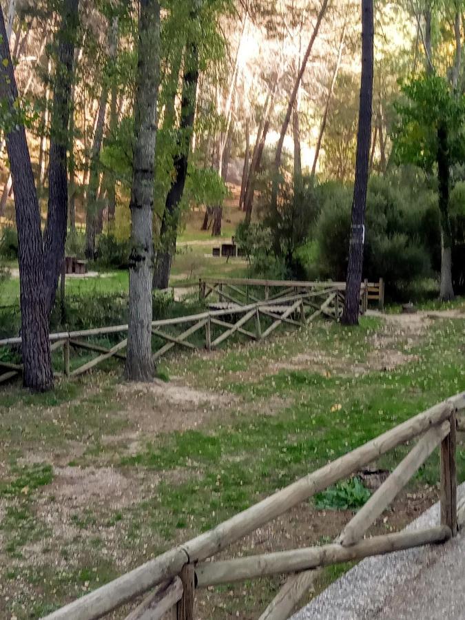 Casa Pinos Guest House Siles Bagian luar foto